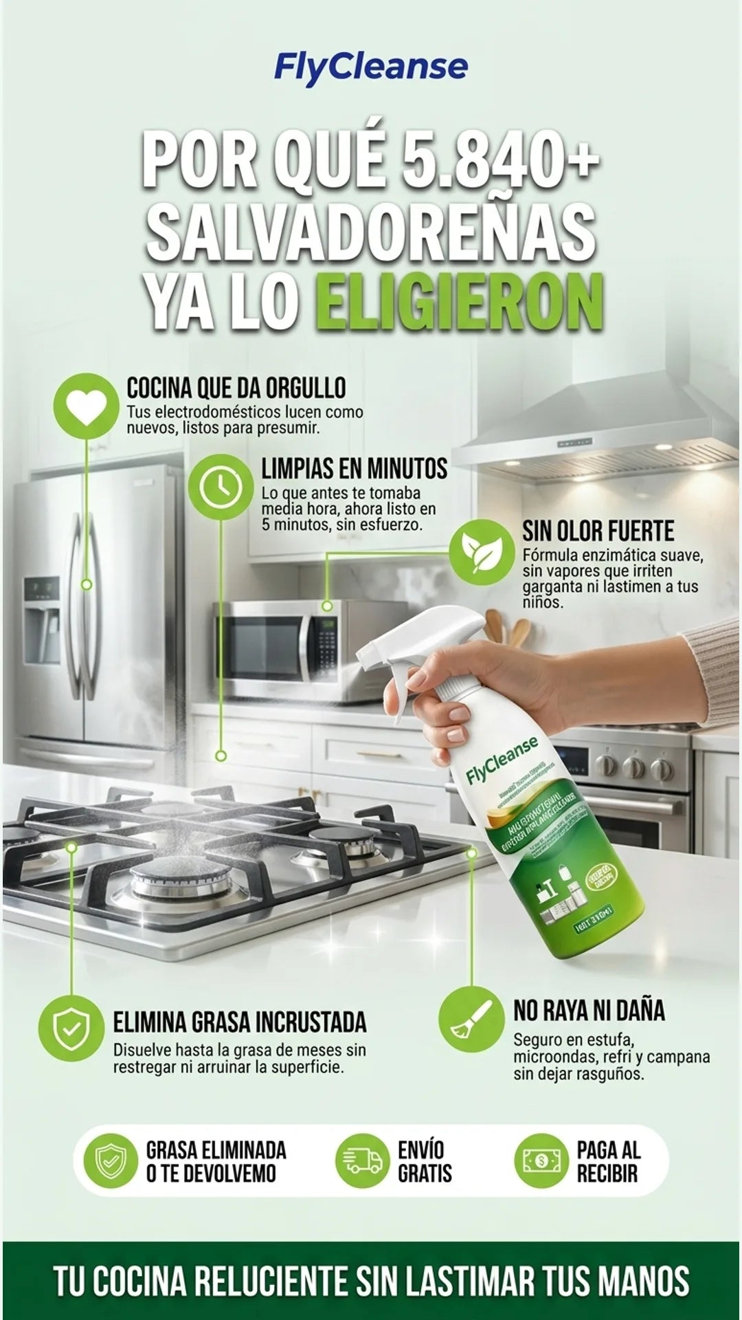 Flycleanse — beneficios